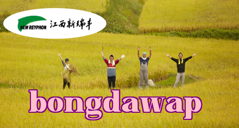 Tân Nhị Phong - Cơ nghiệp trăm năm, thông tin làm nền tảng, nông nghiệp là ưu tiên hàng đầu