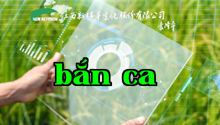 Alternate Text